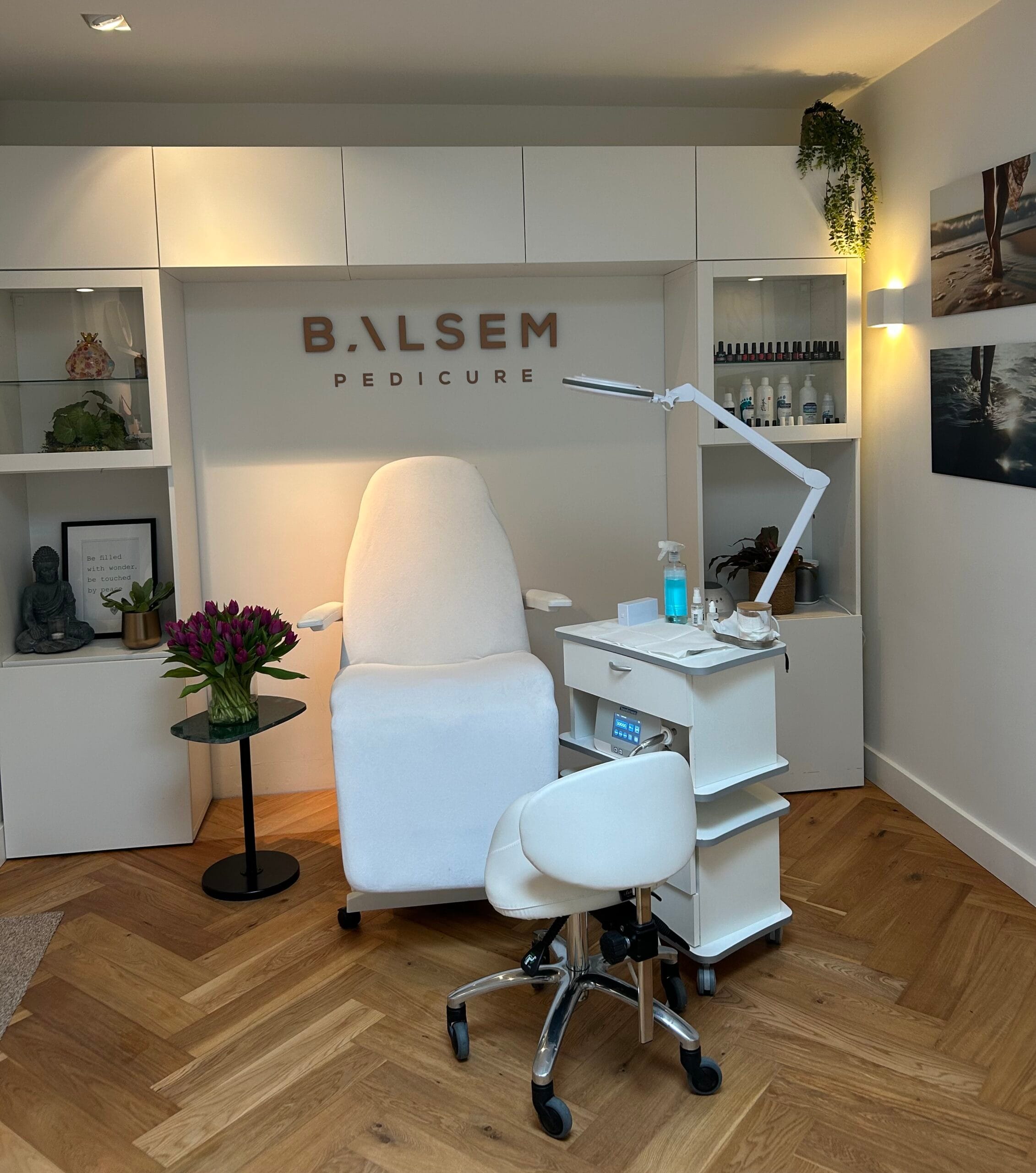 IMG_2351 IMG 2351 scaled